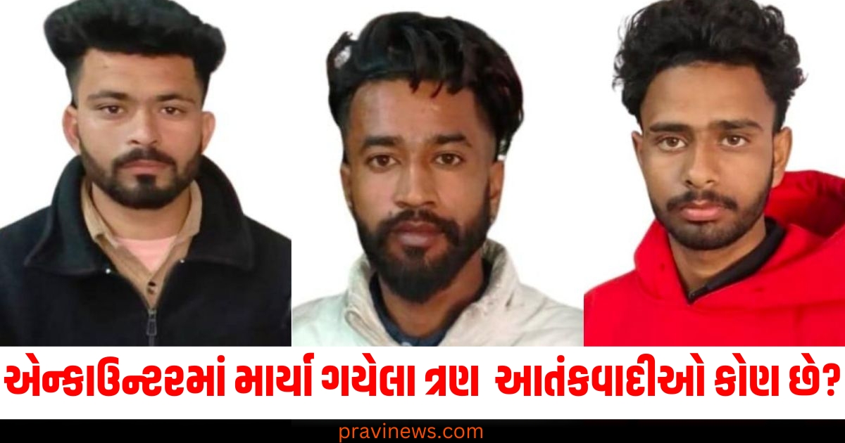 Encounter (એન્કાઉન્ટર), Killed (માર્યા ગયા), Police Action (પોલીસ કાર્યવાહી), Terrorist Identities (આતંકવાદી ઓળખ), Origin (ક્યાંના હતા), Punjab (પંજાબ),