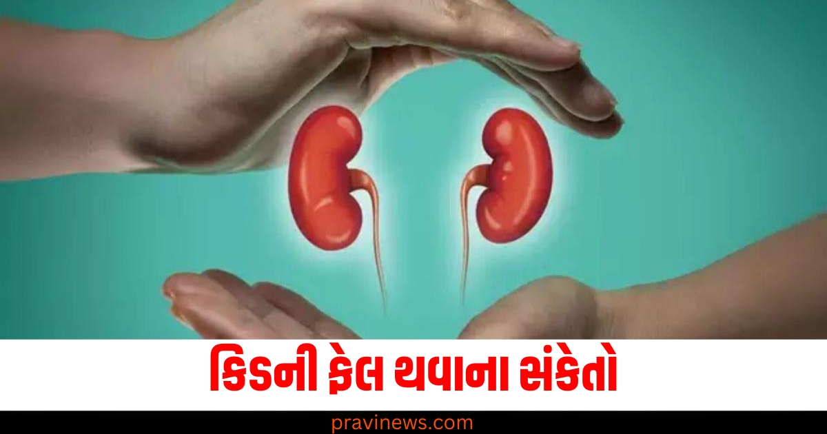 કિડની ફેલ થવાના સંકેતોઃ આ 7 સંકેતો સૂચવે છે કે તમારી કિડની ફેલ થવાની છે. https://www.pravinews.com/lifestyle/benefits-of-eating-food-with-hands-health-news-77447