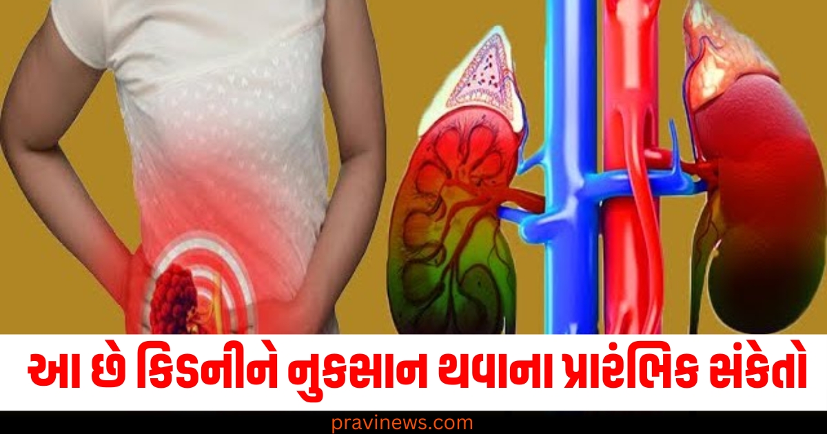 કિડનીના નુકસાનના પ્રારંભિક સંકેતો, જો પથરી ન હોય તો કિડનીને નુકસાન થવાની સંભાવના શું છે? https://www.pravinews.com/lifestyle/health-fitness/vitamin-b-12-deficiency-healthy-sweets-milk-based-burfi-rasmalai-kalakand-benefits-healthy-eating-72176