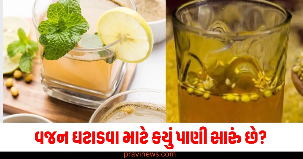 વજન ઘટાડવા માટે કયું સારું છે, જીરુંનું પાણી કે ધાણાનું પાણી? https://www.pravinews.com/world-news-in-gujarati/governments-before-2014-didn-t-work-whole-heartedly-to-create-welfare-state-shah-65621