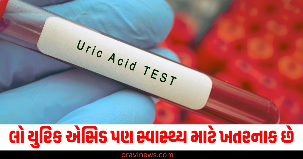 લો યુરિક એસિડ પણ સ્વાસ્થ્ય માટે ખતરનાક છે, શરીરમાં દેખાય છે આ 5 સંકેતો https://www.pravinews.com/lifestyle/sesame-oil-body-massage-benefits-til-ke-tel-se-malish-karne-ke-fayde-expert-opinion-health-tips-76578