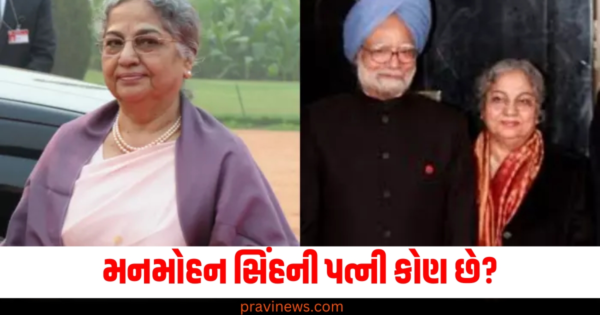 મનમોહન સિંહ ,(Manmohan Singh), પત્ની, (Wife), ઇતિહાસના પ્રોફેસર, (History professor), જીવન, (Life), યુવા અર્થશાસ્ત્રી, (Young economist),