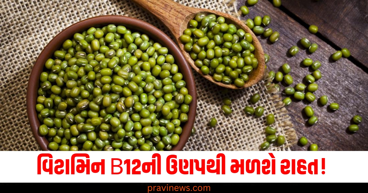 વિટામિન B12ની ઉણપથી મળશે રાહત! બસ આ દાળના પાણીને તમારા આહારમાં સામેલ કરો. https://www.pravinews.com/ajab-gajab/christmas-2024-attractive-wallpaper-merry-christmas-messages-images-for-whatsapp-and-facebook-in-india-73584