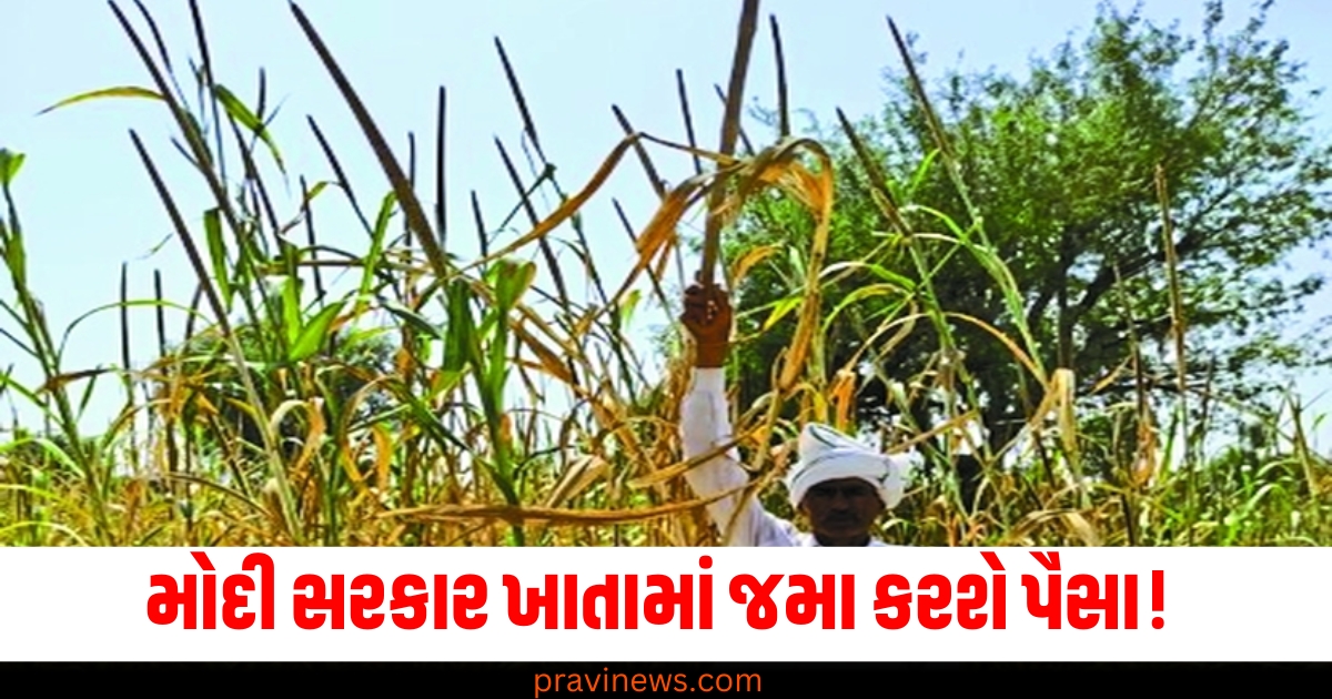 મોદી સરકાર ખાતામાં જમા કરશે પૈસા! , જાણો કયા ખેડૂતોને મળશે 19મો હપ્તો? https://www.pravinews.com/business/yeida-plot-scheme-2024-ki-last-date-18-december-apply-for-20-plots-72517