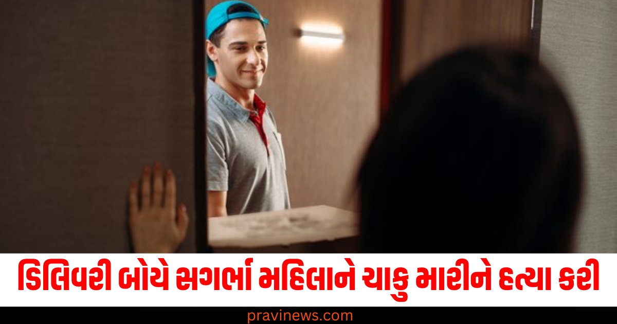 પિઝા ડિલિવરી બોય, (Pizza delivery boy), ટિપ, (Tip), ઓછા પૈસા, (Less money), ગુસ્સે ,(Angry), સગર્ભા મહિલા, (Pregnant woman),