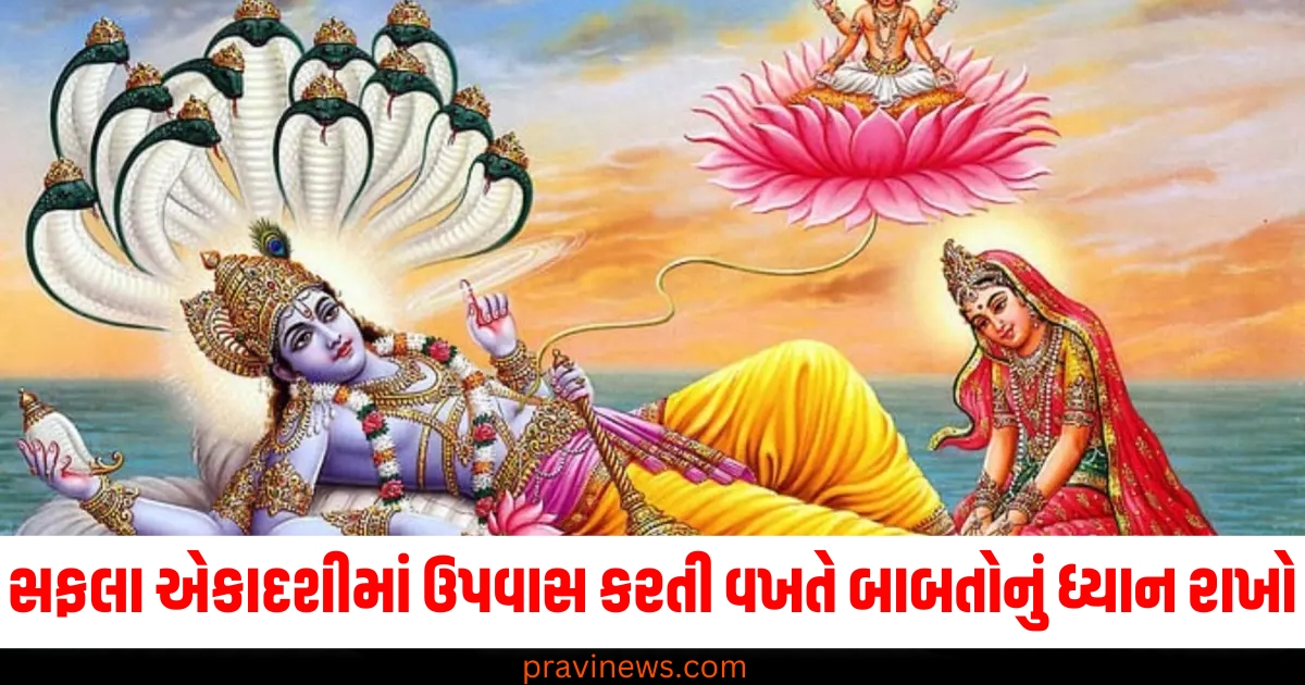 સ્વાતિ નક્ષત્ર (Swati Nakshatra), સુકર્મ યોગ (Sukarma Yog), સફલા એકાદશી (Saphala Ekadashi), ઉપવાસ (Fasting), ધ્યાન રાખો (Be mindful),