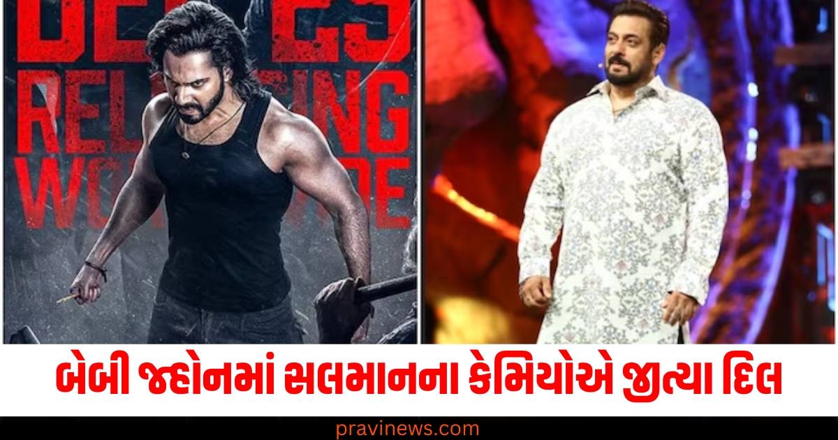 વરુણ ધવન (Varun Dhawan), બેબી જ્હોન (Baby John), રિલીઝ (Release), સલમાન (Salman), કેમિયો (Cameo), જીત્યા (Won), બધાના દિલ (Everyone's hearts),