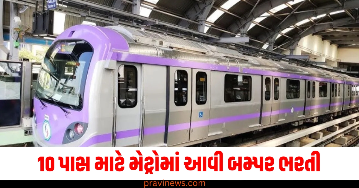 10 પાસ માટે સારા સમાચાર! મેટ્રોમાં આવી બમ્પર ભરતી, આ રીતે અરજી કરો https://www.pravinews.com/education/jobs/sarkari-jobs-sarkari-naukri-metro-recruitment-for-10th-pass-check-full-detail-67846