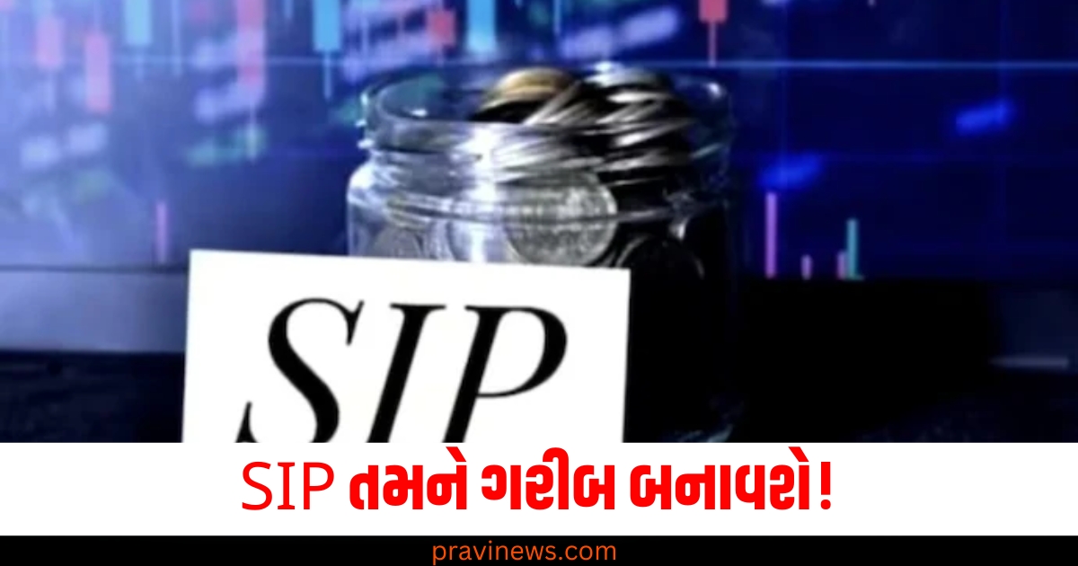 SIP તમને ગરીબ બનાવશે! આ 34 ઇક્વિટી મ્યુચ્યુઅલ ફંડોએ રોકાણકારોના પૈસા ગુમાવ્યા https://www.pravinews.com/lifestyle/pets-health-tips-can-dogs-and-cats-also-get-diabetes-know-symptoms-and-treatment-79486