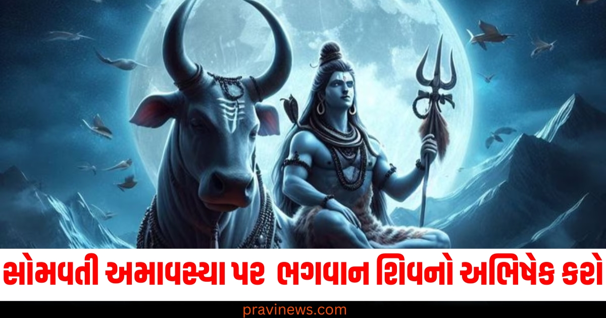 સોમવતી અમાવસ્યા પર રાશિ પ્રમાણે ભગવાન શિવનો અભિષેક કરો, નોકરીમાં પ્રમોશન મળશે https://www.pravinews.com/entertainment/baby-john-song-beast-mode-out-varun-dhawan-showed-amazing-in-action-avatar-watch-video-74864