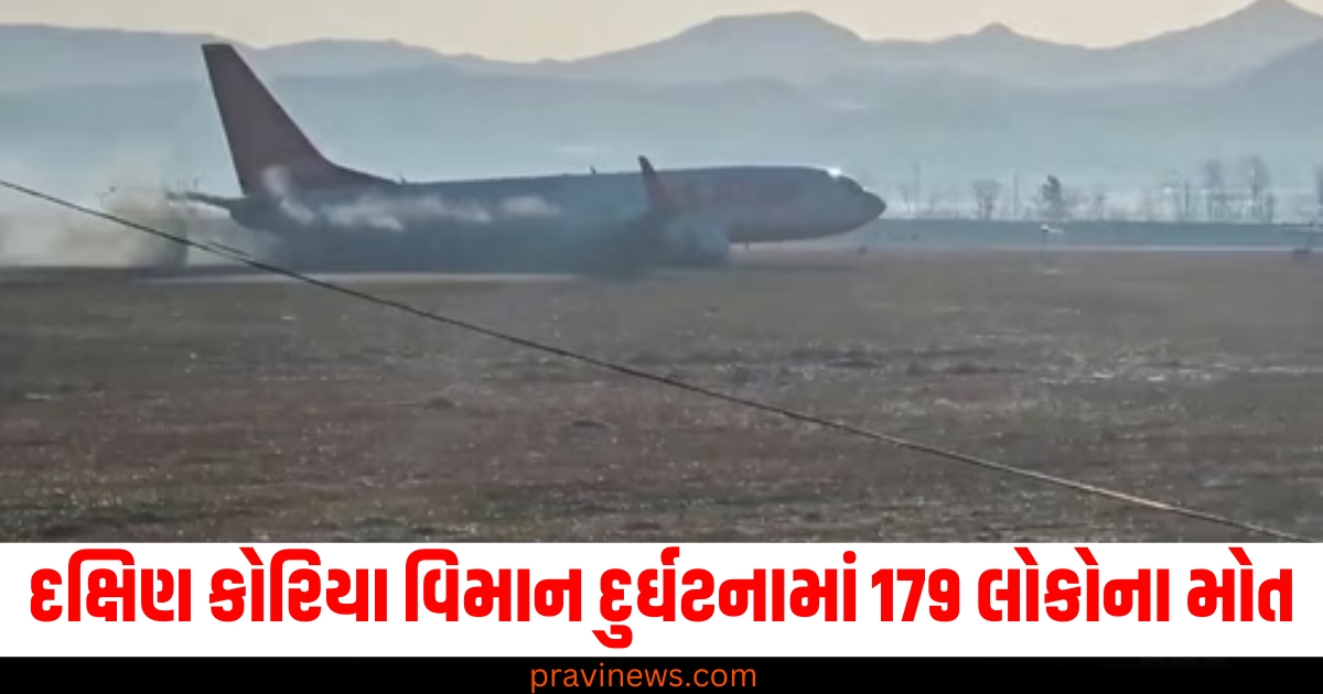 South Korea plane crash, 179 dead South Korea crash, South Korea aviation accident, India expresses condolences, South Korea plane tragedy,