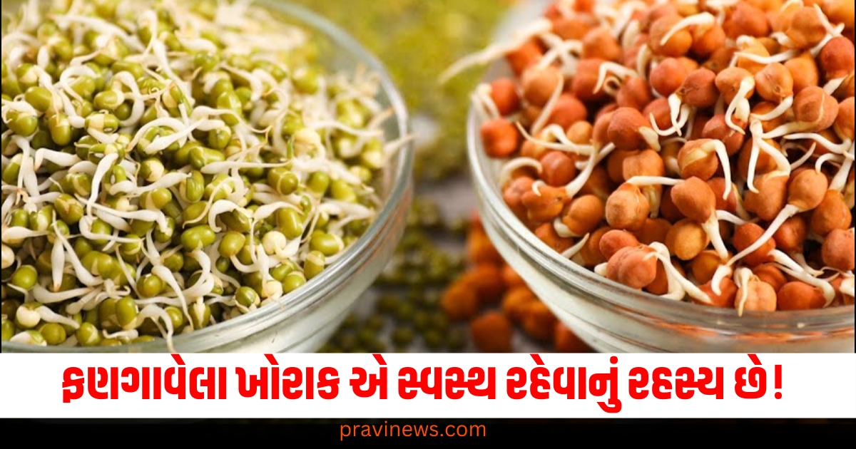 ફણગાવેલા ખોરાક એ સ્વસ્થ રહેવાનું રહસ્ય છે! હાર્ટ સ્પેશિયાલિસ્ટ પાસેથી જાણો ફૂડના ફાયદા https://www.pravinews.com/lifestyle/winter-health-care-blood-pressure-controlling-tips-in-upayo-ki-madad-se-manage-kare-bp-health-news-72188