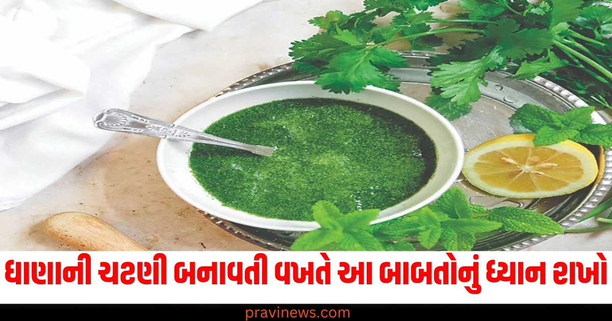 ધાણાની ચટણી બનાવતી વખતે આ બાબતોનું ધ્યાન રાખો, તેનો સ્વાદ કડવો નહીં પણ બમણો થશે https://www.pravinews.com/food/tips-to-make-perfect-dhaniya-chutney-hacks-to-prevent-bitter-taste-74097