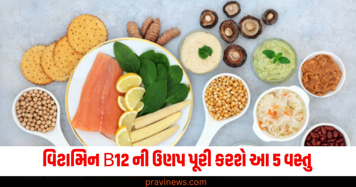 વિટામિન B12 ની ઉણપ પૂરી કરશે આ 5 વસ્તુ, માત્ર 21 દિવસ અજમાવો અને જુઓ ફાયદા https://www.pravinews.com/food/why-is-gajak-rewadi-business-slow-in-winter-there-is-a-30-40-percent-decrease-in-demand-64905