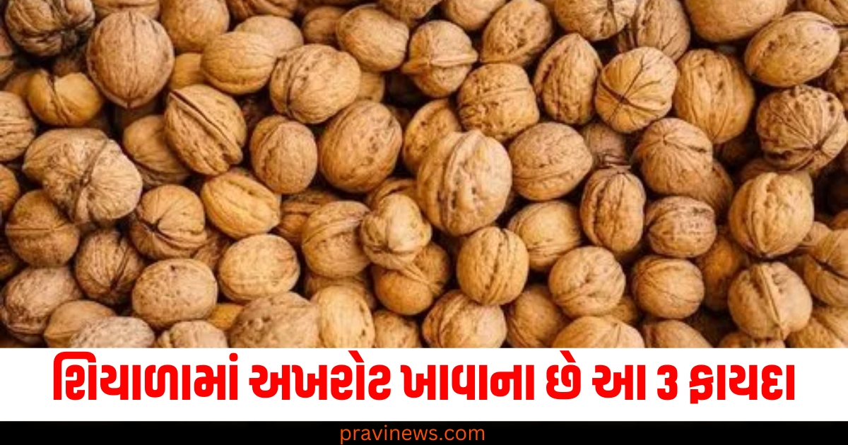 શિયાળામાં અખરોટ ખાવાના છે આ 3 ફાયદા, મગજથી પેટ સુધી બધું રહેશે સ્વસ્થ https://www.pravinews.com/lifestyle/diabetes-symptoms-dogs-and-cats-pets-insulintreatment-78515