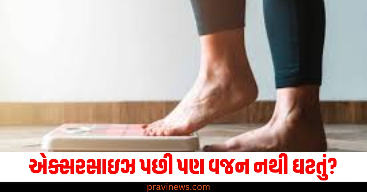 હેલ્ધી ડાયટ અને એક્સરસાઇઝ પછી પણ વજન નથી ઘટતું? તો આ ભૂલો ના કરો https://www.pravinews.com/international-news/mango-founder-isak-andic-died-in-accident-slipped-150-feet-mountain-net-worth-profile-biography-70999