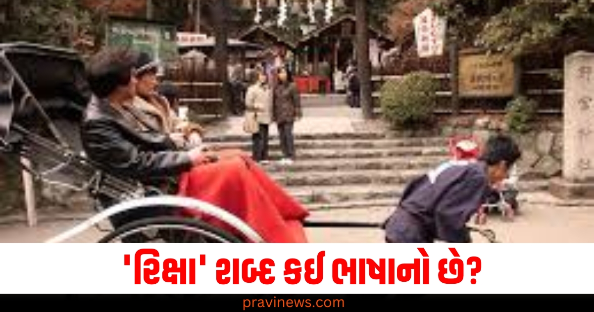 'રિક્ષા' શબ્દ કઈ ભાષાનો છે? નાનપણથી જ સવારી કરતા હસો પણ વિચાર્યું નહીં હોઈ તો આજે જાણી લો https://www.pravinews.com/ajab-gajab/why-books-are-square-in-shape-67836