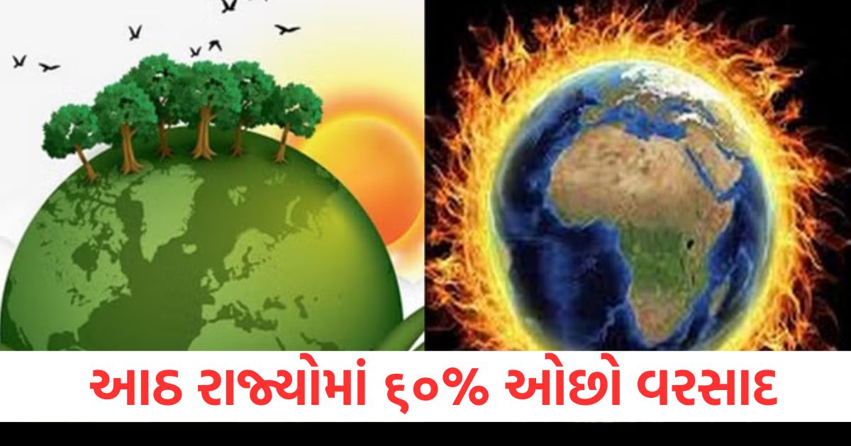 8 રાજ્યો, 60% ઓછો વરસાદ, જાન્યુઆરી, ખેડૂતો, પાણીની ઝંખના,