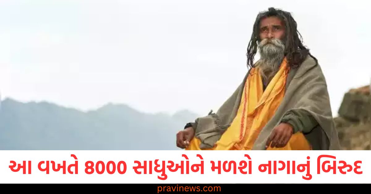 8000 સાધુઓ, નાગાનું બિરુદ, રાહ જોવી, સમય, નાગા સાધુ,