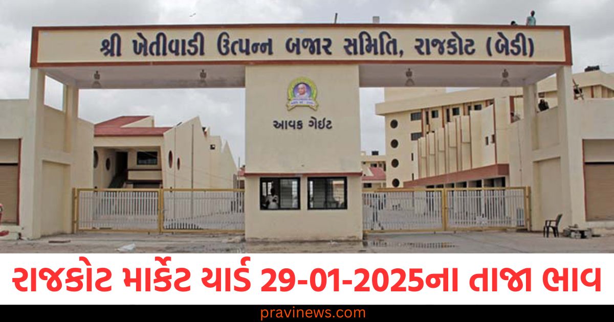 રાજકોટ માર્કેટ યાર્ડ આજના ભાવ, Rajkot APMC Market Price Today 29-01-2025, 29 જાન્યુઆરી 2025 રાજકોટ માર્કેટ યાર્ડ ભાવ, Rajkot APMC 29-01-2025 ભાવ અપડેટ,