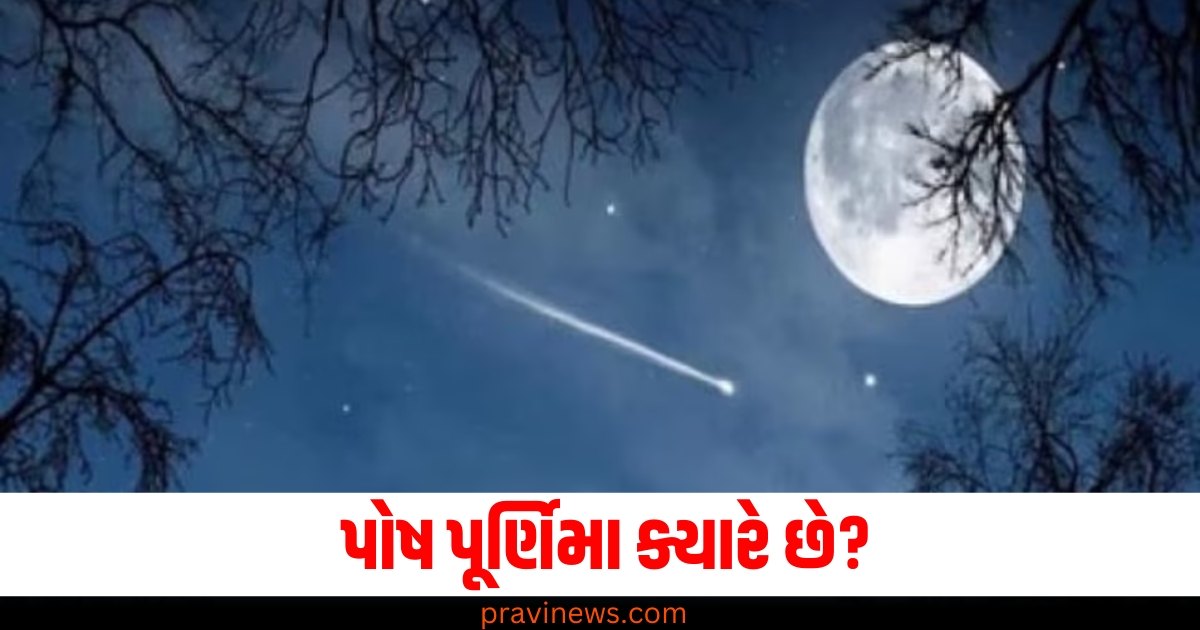 પોષ પૂર્ણિમા, (Poush Purnima), તારીખ, (Date), પૂજા વિધિ, (Puja ritual), શુભ સમય, (Auspicious time), સ્નાન, (Bath),