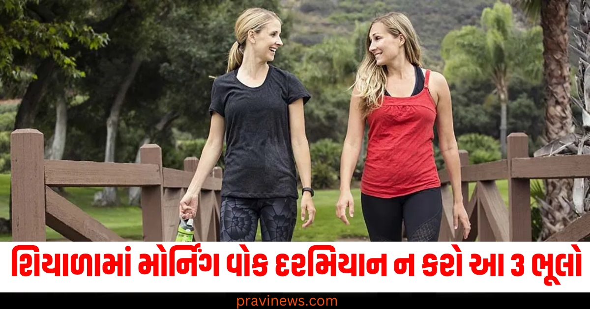 શિયાળામાં મોર્નિંગ વોક દરમિયાન ન કરો આ 3 ભૂલો, નહીં તો મોંઘી સાબિત થઈ શકે છે.