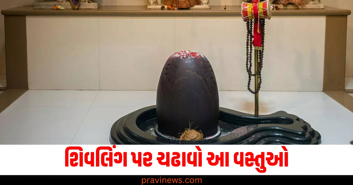 શિવલિંગ પર ચઢાવો આ વસ્તુઓ, પિતૃ દોષનો ભય નહીં રહે https://www.pravinews.com/entertainment/ranbir-kapoor-alia-bhatt-with-daughter-raha-thailand-vacation-on-new-year-2025-81552