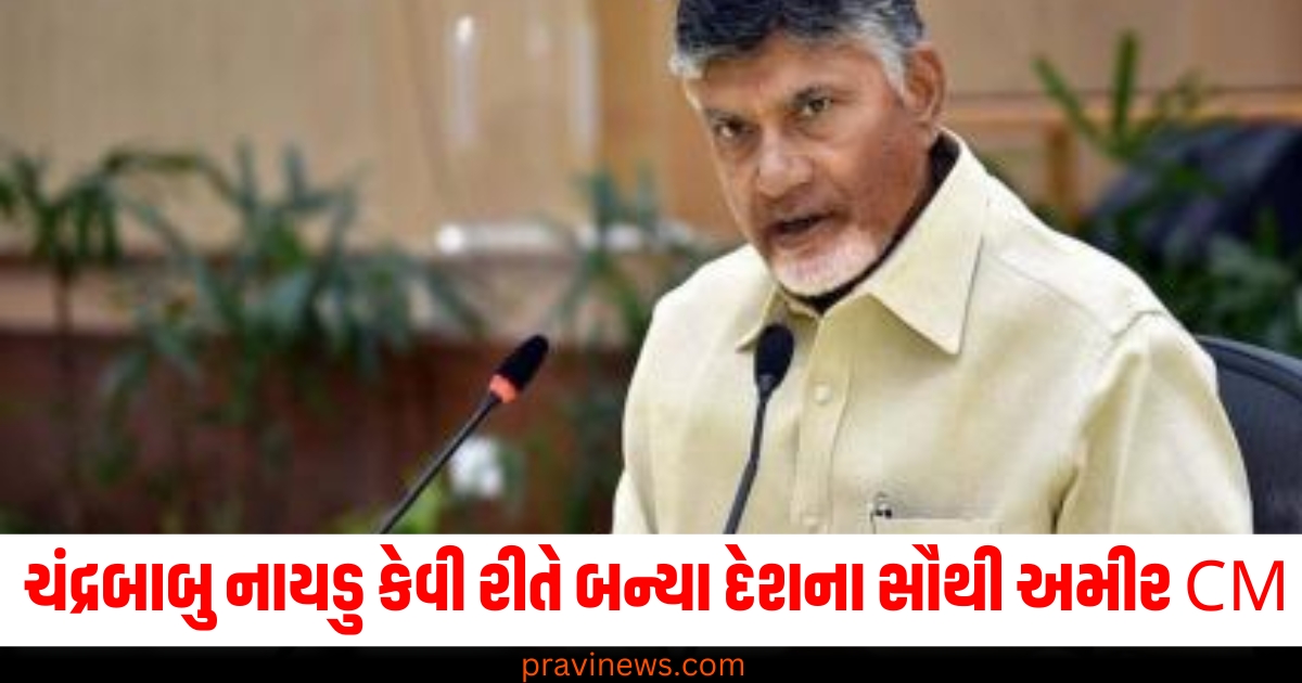 ચંદ્રબાબુ નાયડુ ,(Chandrababu Naidu), સૌથી અમીર, CM ,(Richest CM), આવક, (Income), ક્યાંથી આવે છે, (Where it comes from),