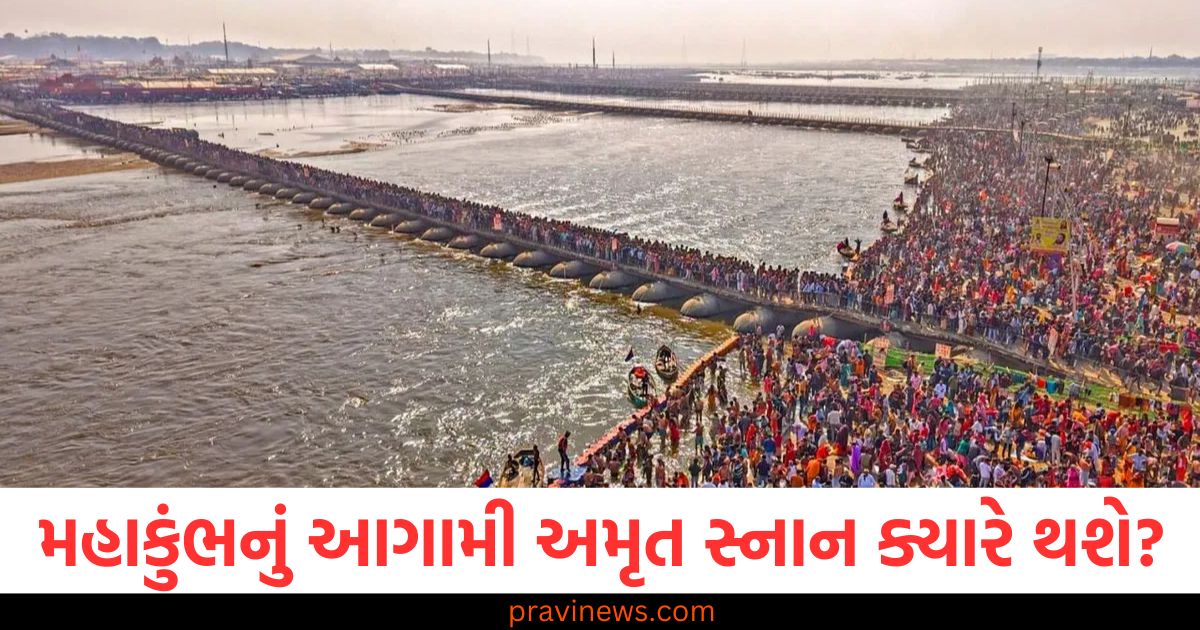 મહાકુંભનું આગામી અમૃત સ્નાન ક્યારે થશે? તારીખ અને મહત્વ અહીં જાણો https://www.pravinews.com/religion/astrology/mahashivratri-2025-shubh-yog-lord-shiva-family-pooja-know-shiv-parivar-ki-puja-vidhi-98109