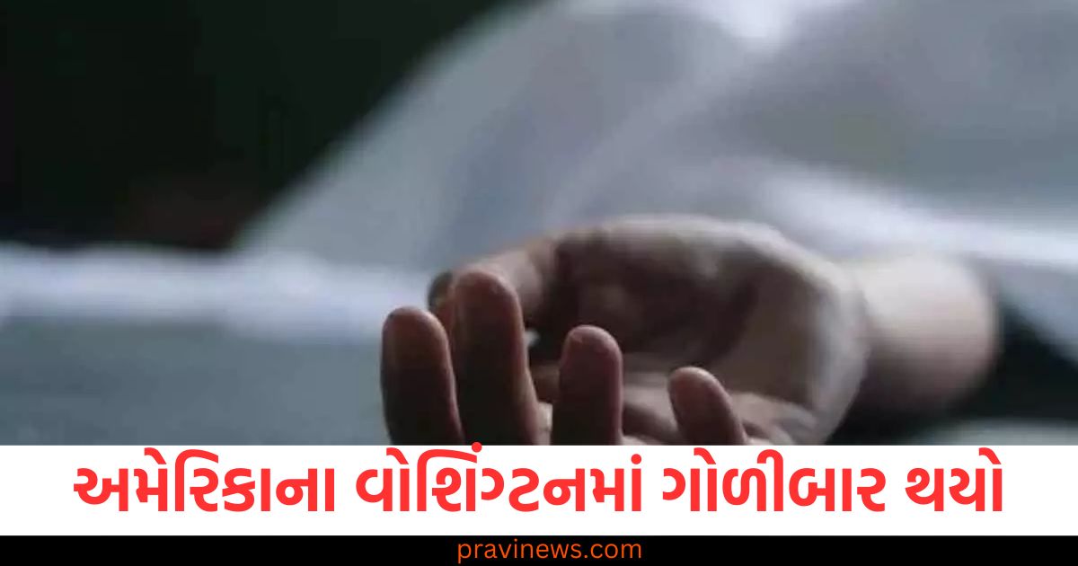 અમેરિકાના વોશિંગ્ટનમાં ગોળીબાર થયો, હૈદરાબાદના એક યુવકને ગોળી વાગી https://www.pravinews.com/international-news/america-hyderabad-youth-shot-dead-in-washington-92364