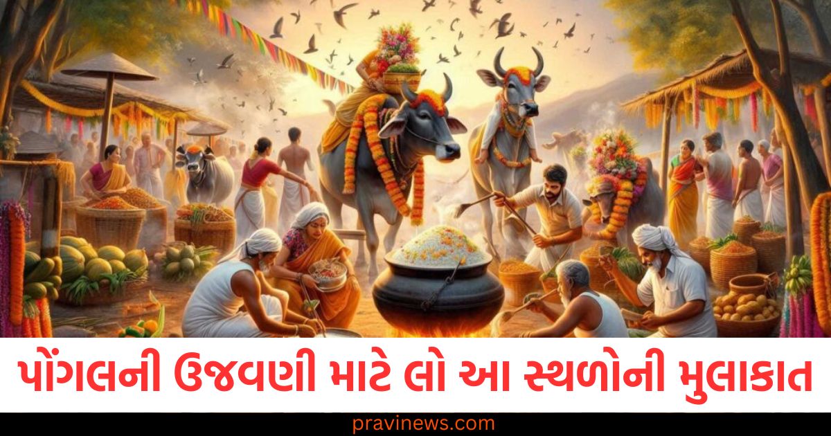 પોંગલની ઉજવણી માટે લેવી જોઈએ તમિલનાડુના આ અદ્ભુત સ્થળોની મુલાકાત, જાણો સ્થળોના નામ https://www.pravinews.com/automobile/new-car-launches-ather-450-series-launched-in-new-year-2025-gets-new-color-options-and-features-83216