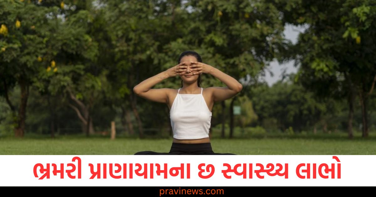 Bhramari, Pranayama, (ભ્રમરી પ્રાણાયામ), Health, Benefits, (સ્વાસ્થ્ય લાભો), Pranayama,Practice, (પ્રાણાયામ પ્રેક્ટિસ), Daily, Practice, (દરરોજ, પ્રેક્ટિસ),