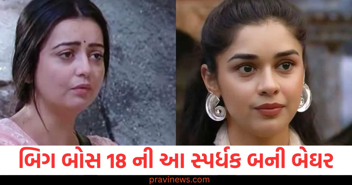 ચાહત પાંડે-ઈશા સિંહ નહીં, 'બિગ બોસ 18'ની આ સ્પર્ધક બની બેઘર https://www.pravinews.com/entertainment/bigg-boss-18-contestant-chum-darang-net-worth-career-83157