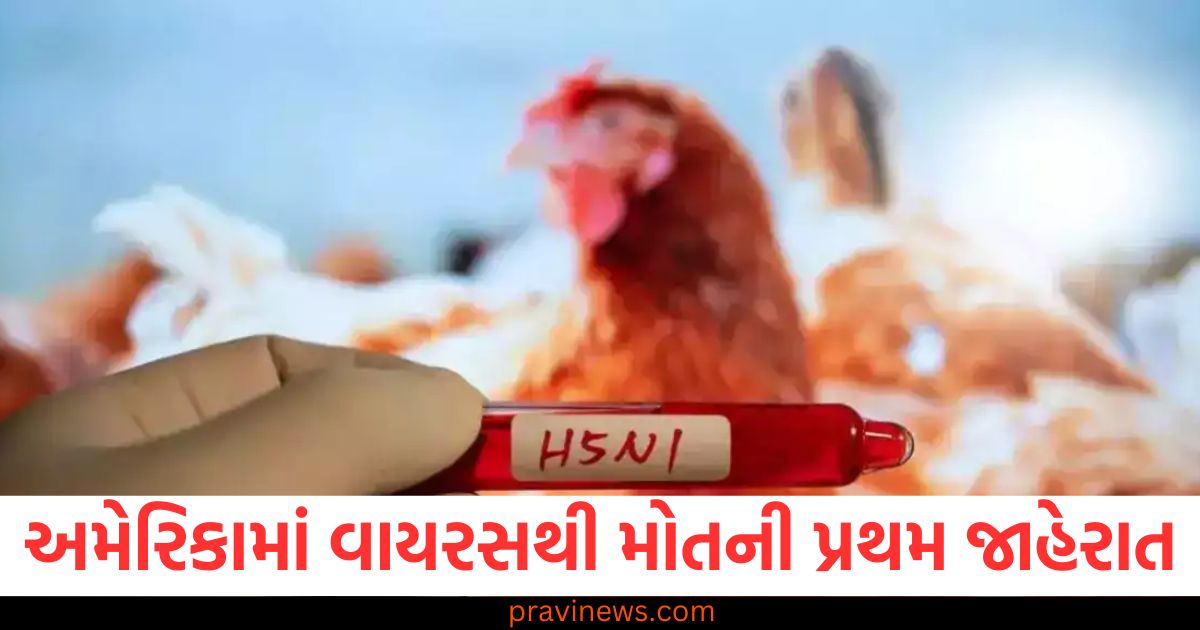 અમેરિકામાં વાયરસથી મોતની પ્રથમ જાહેરાત, જાણો દુનિયામાં શું છે સ્થિતિ https://www.pravinews.com/world-news-in-gujarati/mp-cold-pachmarhi-temperature-reaches-freezing-point-know-bhopal-gwalior-ratlam-indore-weather-ann-85688