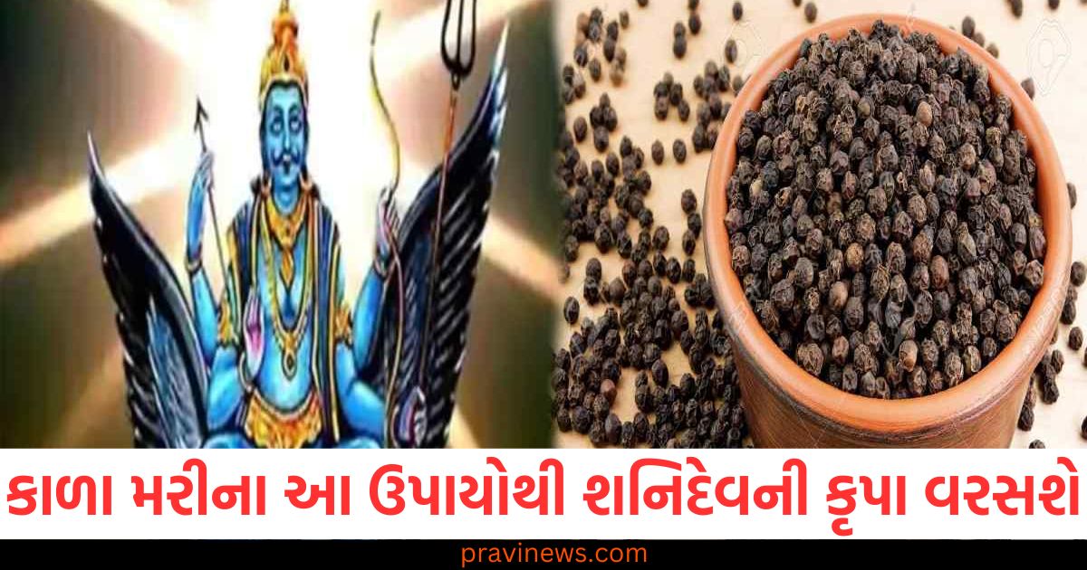 કાળા મરી, (Black pepper), શનિદેવ, (Shani Dev), કૃપા ,(Grace), વરશે, (Will shower), સમસ્યા, (Problems), દૂર થશે, (Will be resolved),