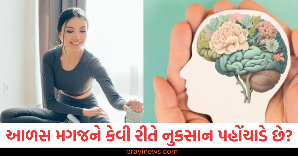 આળસ મગજને કેવી રીતે નુકસાન પહોંચાડે છે? સંશોધનમાં થયો મોટો ખુલાસો https://www.pravinews.com/world-news-in-gujarati/republic-day-2025-what-is-the-rules-for-hoisting-tricolour-on-26-january-know-what-to-do-and-what-not-to-do-95093