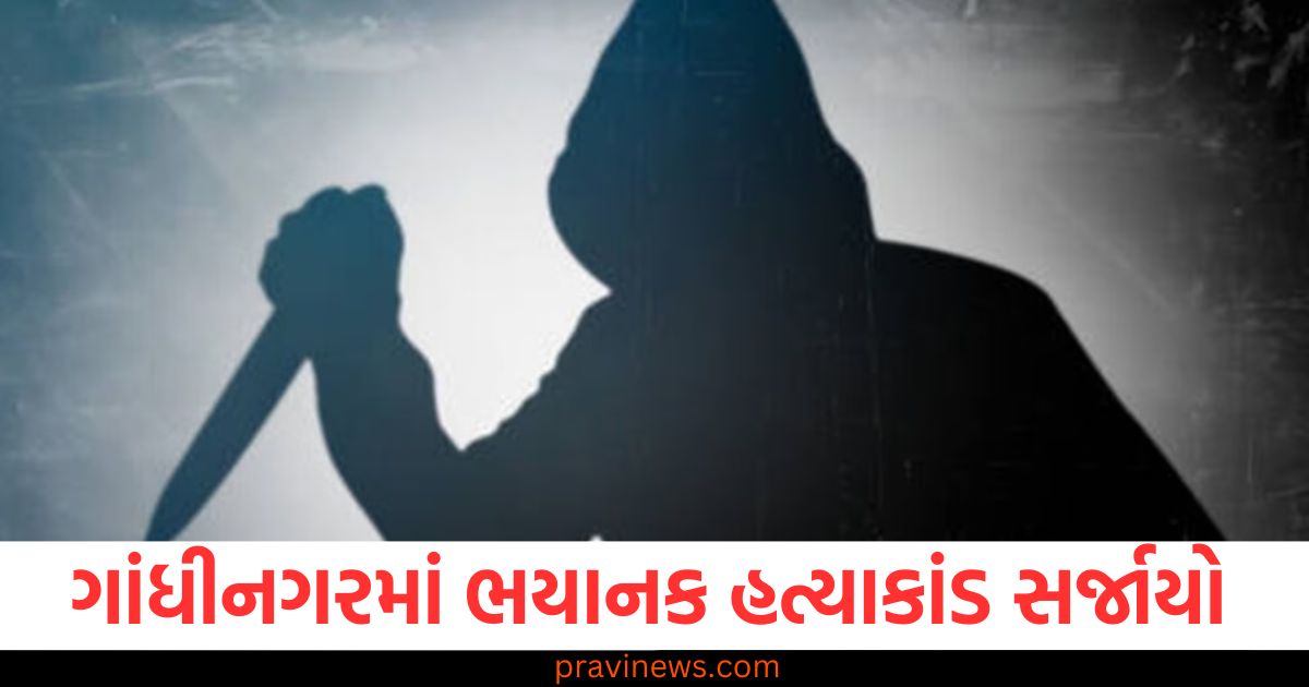 ગાંધીનગરમાં ભયાનક હત્યાકાંડ સર્જાયો, માતાના અફેરથી ગુસ્સે થઈ ભાઈઓએ પ્રેમીને મારી નાખ્યો https://www.pravinews.com/gujarat-news/world-yoga-day-the-10th-international-yoga-day-will-be-celebrated-on-the-theme-of-yoga-for-self-and-society-13574