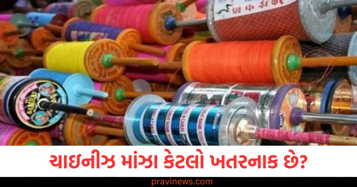 ચાઇનીઝ માંઝા કેટલો ખતરનાક છે? તેનો ઉપયોગ અને વેચાણ કરનારા પર થશે આ કાર્યવાહી! https://www.pravinews.com/world-news-in-gujarati/indian-railways-minister-big-announcement-for-amrit-bharat-train-good-news-for-middle-class-88253