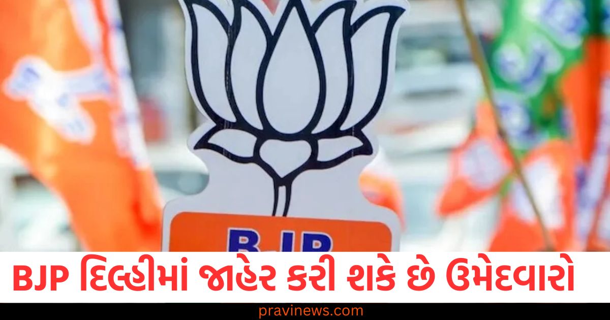 BJP આ ફોર્મ્યુલાનો ઉપયોગ કરીને દિલ્હીમાં તેના ઉમેદવારો નક્કી કરશે, પ્રથમ યાદી ટૂંક સમયમાં આવશે https://www.pravinews.com/world-news-in-gujarati/prashant-kishor-gave-48-hours-time-to-nitish-kumar-government-also-advised-tejashwi-yadav-80122