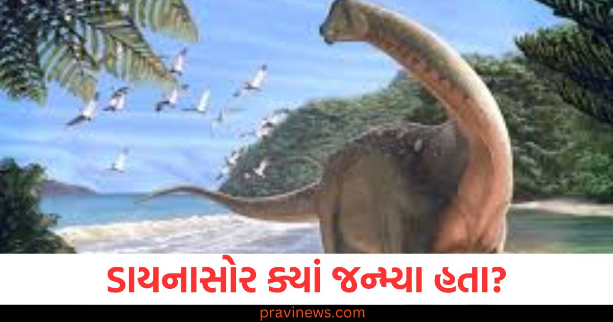 સસ્તી બાઇક લોકપ્રિય, લોકપ્રિય સસ્તી બાઇક, સસ્તી બાઇક માટે લોકોએ કતારમાં, લોકપ્રિય સસ્તી બાઇક ખરીદવા કતારમાં, સસ્તી બાઇક ઘણા લોકપ્રિય,