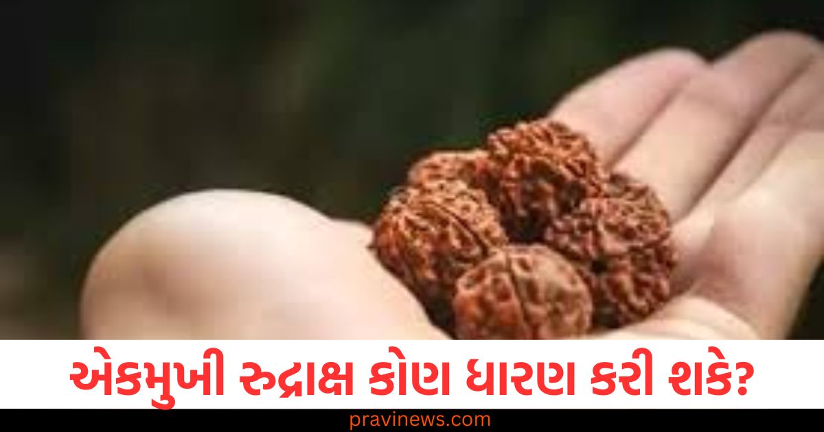 એકમુખી રુદ્રાક્ષ કોણ ધારણ કરી શકે? તેને પહેરવાના નિયમો અને પદ્ધતિ જાણો https://www.pravinews.com/religion/dream-meaning-pitru-paksh-ke-dauran-in-saat-sapnon-ka-dikhna-ashubh-pitron-ki-ashanti-ka-hain-sanket-39059