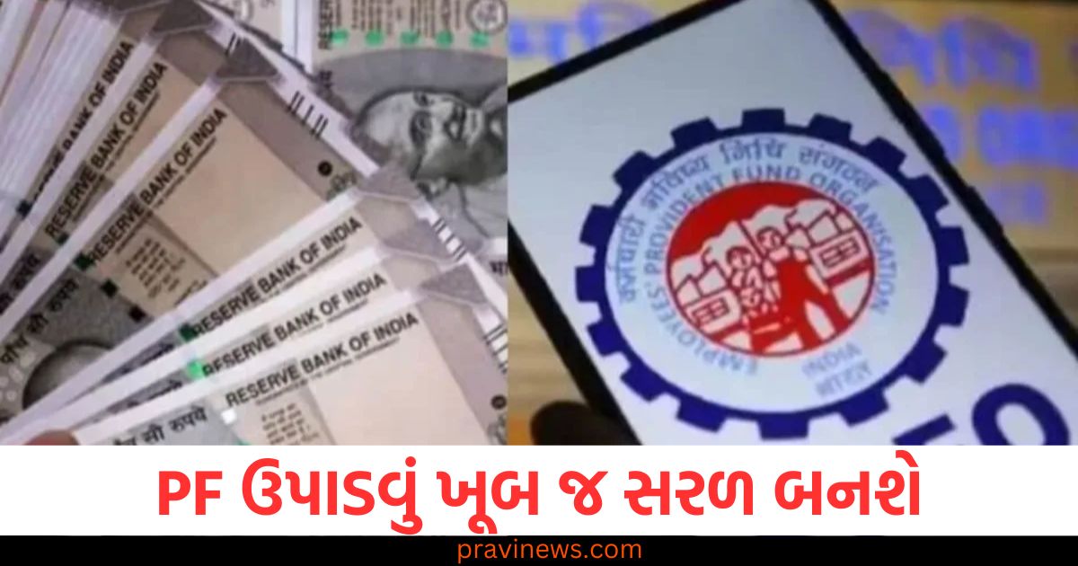 PF ઉપાડવું ખૂબ જ સરળ બનશે , EPFOના એપના લોન્ચને લઈને આવ્યું મોટું અપડેટ https://www.pravinews.com/business/rbi-changes-the-rules-related-to-fd-from-the-new-year-new-rules-are-applicable-from-today-know-details-80785