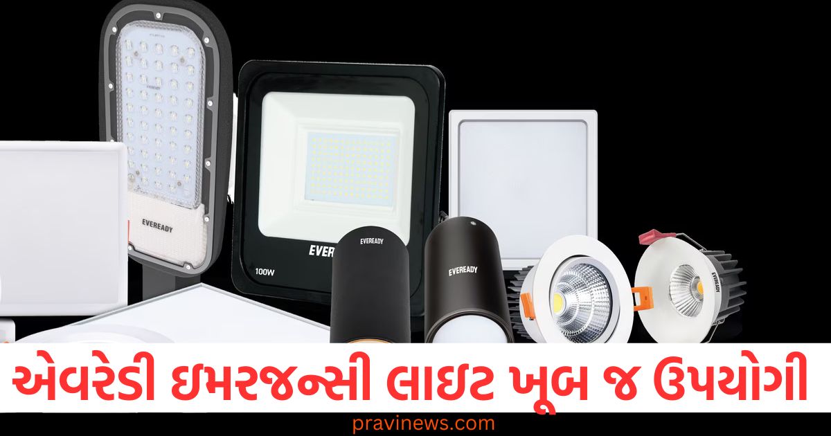 એવરેડી ઇમરજન્સી લાઇટ ખૂબ જ ઉપયોગી , તે પાવર કટમાં મદદ કરે છે https://www.pravinews.com/world-news-in-gujarati/govermnet-ready-to-move-new-income-tax-law-in-budget-session-93845