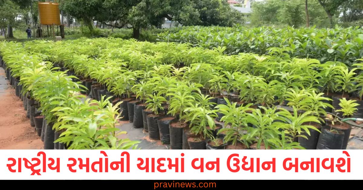 રાષ્ટ્રીય રમતોની યાદમાં વન ઉદ્યાન બનાવવામાં આવશે, રાષ્ટ્રીય રમતો માટે વન ઉદ્યાન અને લાખો છોડ વાવવાનું લક્ષ્ય, લાખો વૃક્ષ વાવવાનું લક્ષ્ય સાથે રાષ્ટ્રીય રમતોના નામે વન ઉદ્યાન, વન ઉદ્યાનની યોજના અને રાષ્ટ્રીય રમતો માટે છોડ વાવવાનો અભિયાન, રાષ્ટ્રીય રમતોની ઉજવણી માટે વન ઉદ્યાન બનાવવાની યોજનાઓ,