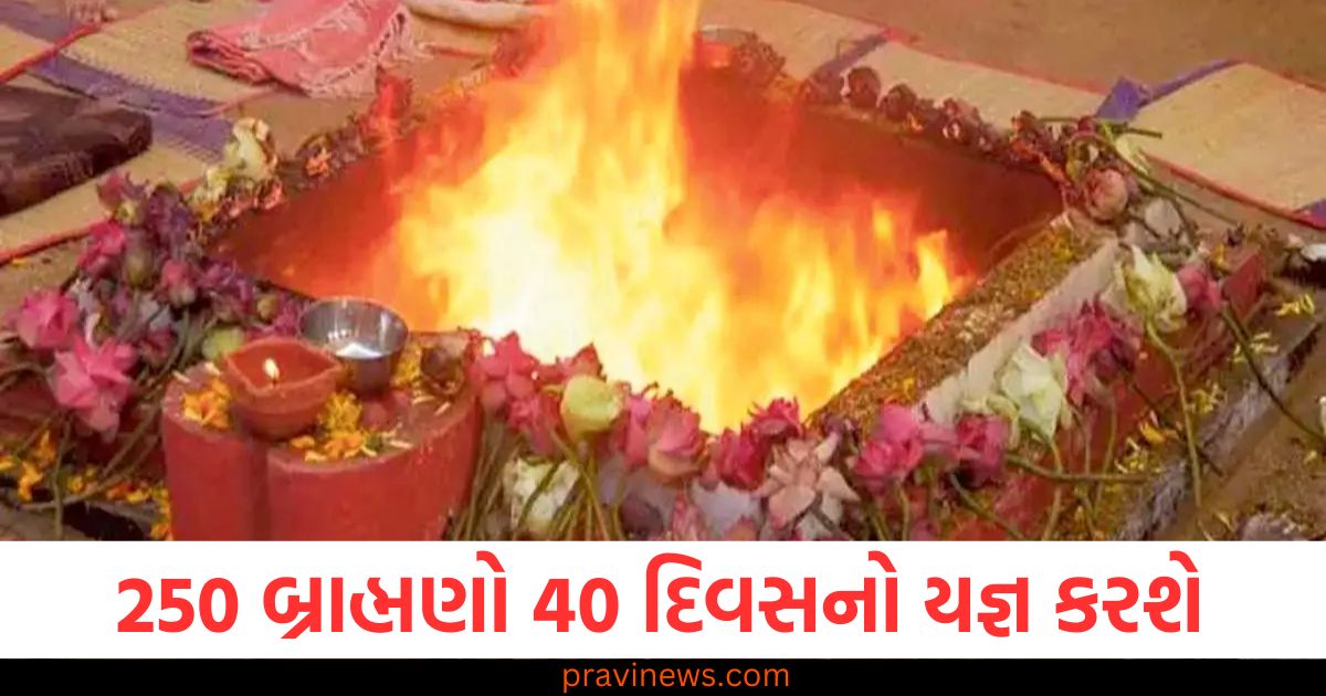 ગુજરાત, 250 બ્રાહ્મણો, 40 દિવસનો યજ્ઞ, વિશ્વ કલ્યાણ, 24 યજ્ઞો,