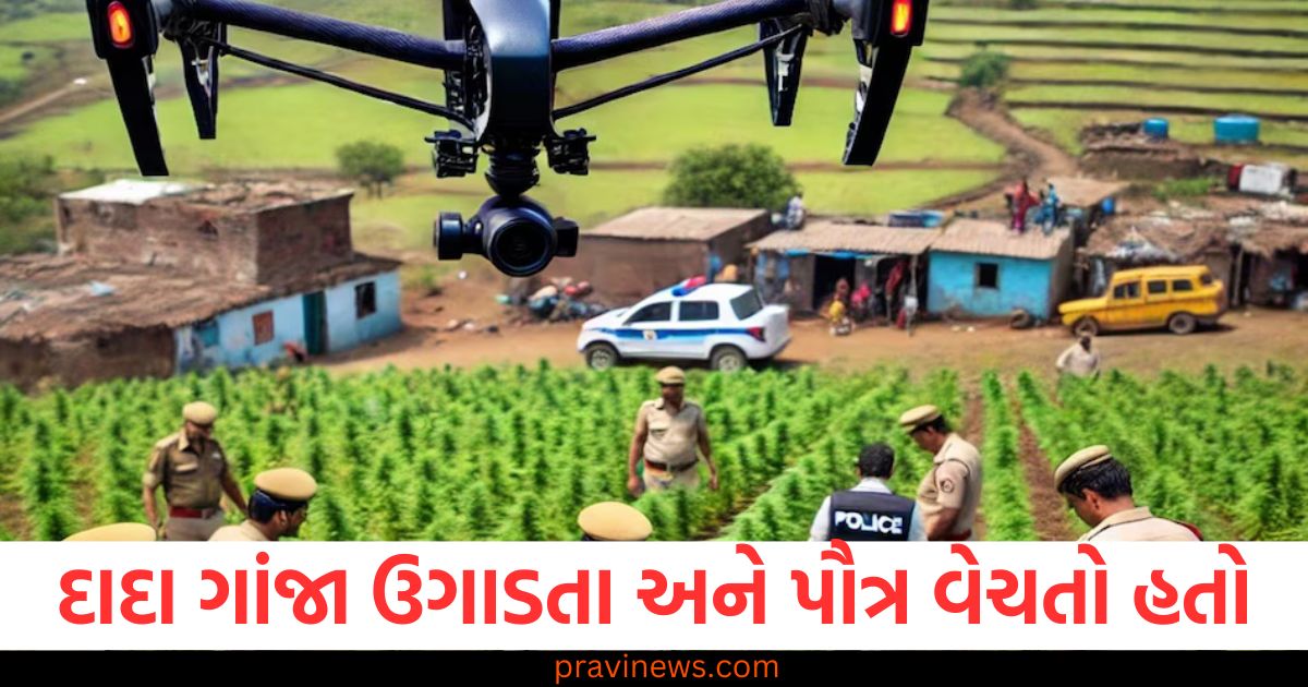 દાદા ગાંજા ઉગાડતા અને પૌત્ર વેચતો હતો, પોલીસને ડ્રોનની મદદથી બંનેની ધરપકડ કરી https://www.pravinews.com/business/amazon-layoffs-2024-communication-department-job-cuts-reason-97521