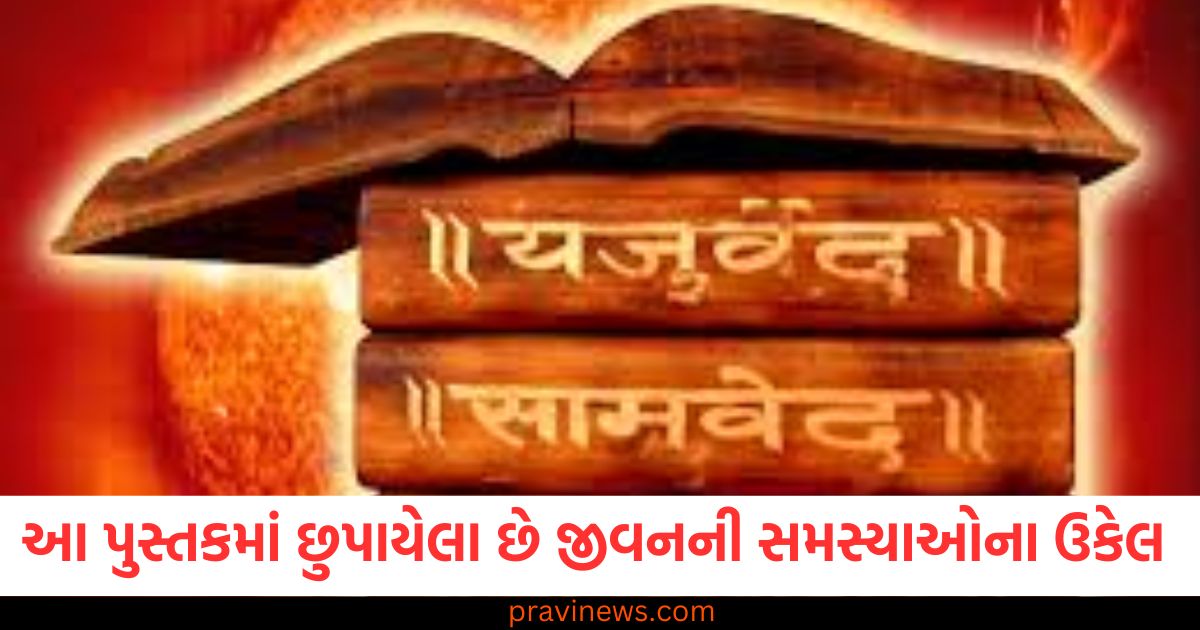 માત્ર ગીતામાં જ નહીં, આ પુસ્તકમાં છુપાયેલા છે જીવનની સમસ્યાઓના ઉકેલ . https://www.pravinews.com/lifestyle/health-fitness/health-tips-fruit-diet-benefits-and-risks-expert-insights-eating-health-effects-83838