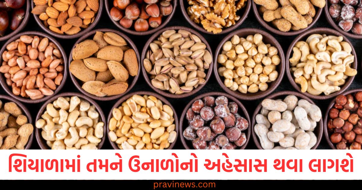 શિયાળો,(Winter), ઉનાળો, (Summer), અહેસાસ, (Feeling), ડ્રાયફ્રૂટ્સ, (Dry fruits), આહાર, (Diet),