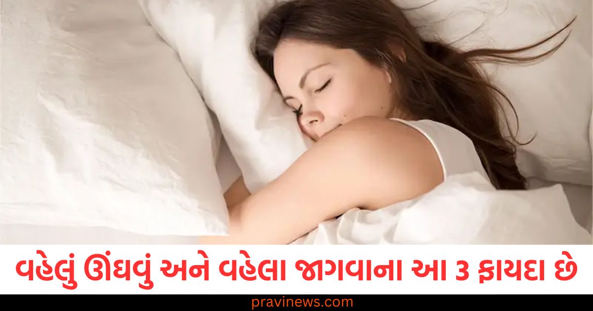 વહેલું ઊંઘવું અને વહેલા જાગવાના આ 3 ફાયદા છે, જાણો શું કહે છે નિષ્ણાતો https://www.pravinews.com/lifestyle/expert-skincare-tips-to-treat-and-prevent-pimples-naturally-article-80188