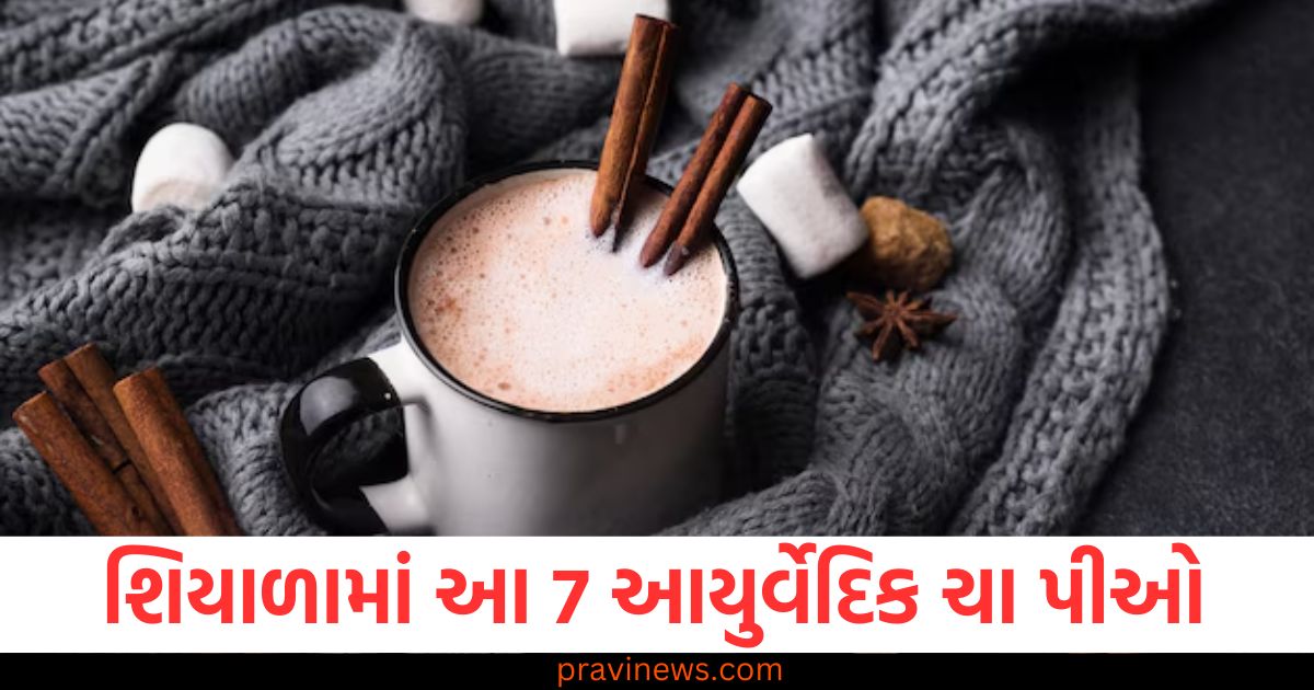 શિયાળામાં આયુર્વેદિક ચા, 7 ચા રેસીપી, આયુર્વેદિક ફાયદા, શરીર માટે ફાયદા, પ્રાકૃતિક ચા,